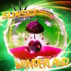 Download track Wonderland (Dale & Harms Remix)