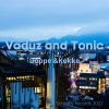 Download track Vaduz And Tonic (Extended Mix)