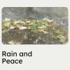 Download track Raining Window Projector