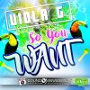 Download track So You Want (Radio Edit)