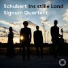 Download track Abendstern, D. 806 (Arr. X. Van Dijk For String Quartet)