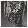 Download track Strange Meadow Lark