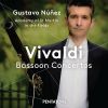 Download track Bassoon Concerto In A Minor, RV 497 - I. Allegro Molto