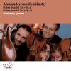 Download track String Quartet No. 1 In A Major, Op. 4: III. Breit Und Kräftig