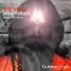 Download track Sebai Kekade (Stan Kolev Salvation 2016 Dub)