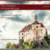 Download track Die Zauberharfe, D. 644 (Arr. B. Newbould For Orchestra): IX. Ha! What Happened To Me?