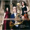 Download track 01 Horn Trio E-Flat Major, Op. 40 I. Andante-Poco Piu Animato