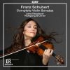 Download track Violin Sonata No. 4 In A Major, Op. 162, D. 574 