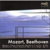 Download track 3. Mozart Piano Concerto Â¹ 24 C-Moll KV 491 - III. Allegretto