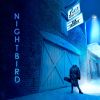 Download track Nightbird