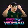 Download track Forrozinho Acorda Pedrinho