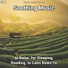 Download track Soothing Music, Pt. 6