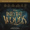 Download track Back Into The Woods
