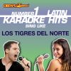 Download track Golpes En El Corazon (As Made Famous By Los Tigres Del Norte)