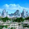 Download track Overgrown
