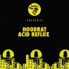 Download track Acid Reflux Original Mix