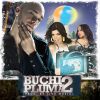 Download track Buchipluma 2