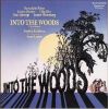 Download track Into The Woods (Prologue)