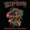 Download track Requiem In # C (Intro) -Bloodbath On Paradise