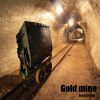 Download track Gold Mine