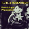 Download track Pseudologia Phantastica (Areal Kollen Remix)