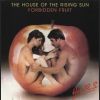 Download track House Of The Rising Sun