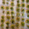 Download track Oklahoma