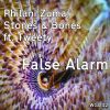 Download track False Alarm (Soule Villain Remix)