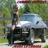 Download track La Gallina