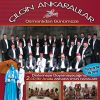 Download track Ankaraya Kar Yağdı