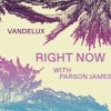 Download track Right Now (With Parson James)