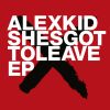 Download track Shesgottoleave (Radio Slave'S Break For Love Beats)