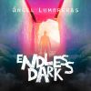Download track Endless Dark