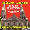 Download track Mananitas A Mi Madre