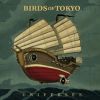 Download track Birds Of Tokyo - Wild Eyed Boy