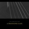 Download track A Profound Gass