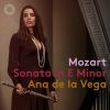 Download track Mozart: Violin Sonata No. 21 In E Minor, K. 304 (Arr. For Flute & Piano): II. Tempo Di Menuetto