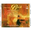 Download track Suite No. 1 C Major BWV 1066 - V. Menuetto