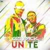 Download track Unite (Extended Mix)
