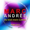 Download track Du Bist Mein Leben (Après Ski Reggea Mix)