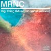 Download track Big Thing (Muad'dib Vocal Version)