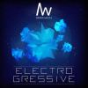 Download track Electrogressive [Original Mix]