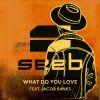 Download track What Do You Love