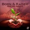 Download track Born & Raised