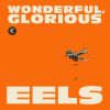 Download track Wonderful, Glorious
