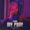 Download track My Pony