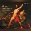 Download track Mozart - Piano Concerto No. 6 In B-Flat Major, K. 238 - III. Rondeau - Allegro