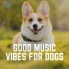 Download track Keeping The Calmness In My Dog