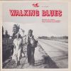 Download track Walking Blues