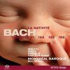 Download track 19. HIMMELSKÖNIG SEI WILLKOMMEN BWV 182 BC A53 - 1. Sonata